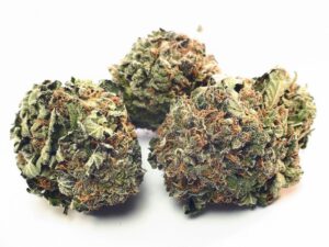 Copacabana Marijuana Strain
