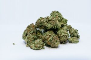 Haze Queen Marijuana Strain