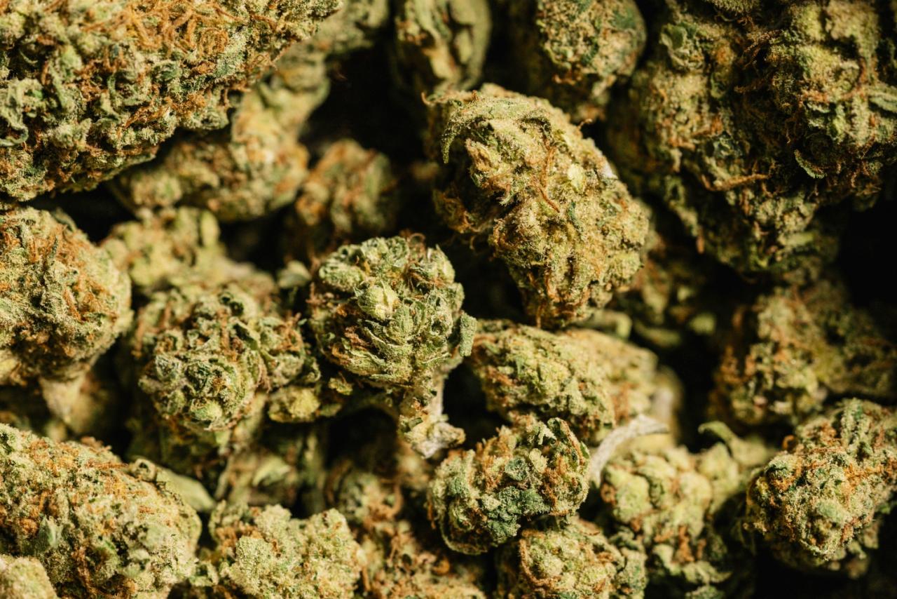 Silverfalls Kush Marijuana Strain